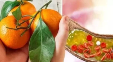 تراجع الأسعار 20 جنيهاً اليوسفي في أسواق الأقصر السبت